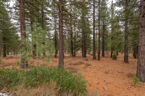 10567 Brickell Ct, Truckee, CA 96161 photo 10