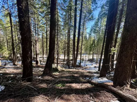 84 Yonkalla Trl, Graeagle, CA 96103 photo 14