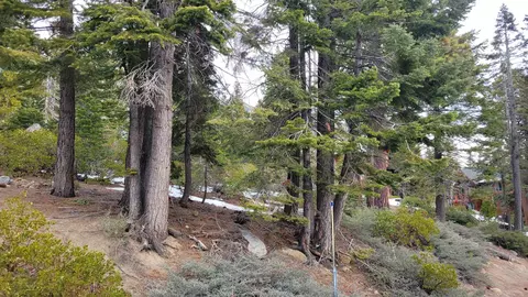 358 Northridge Dr, Tahoma, CA 96142
