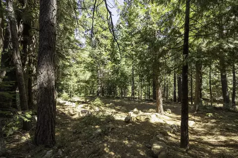 41080 Putt Rd, Emigrant Gap, CA 95715 photo 18