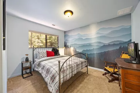 41080 Putt Rd, Emigrant Gap, CA 95715 photo 12