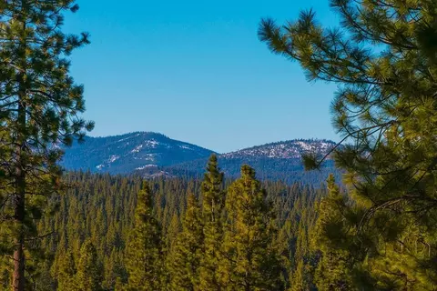 8143 Fallen Leaf Way, Truckee, CA 96161 photo 5
