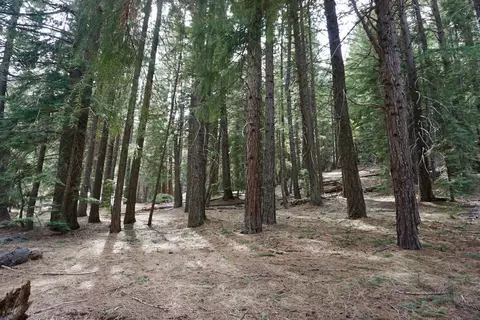 6 Pine Tree Ct, Blairsden, CA 96103
