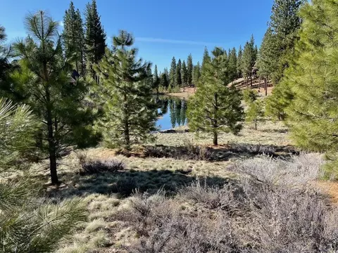 328 Blacktail Rdg, Portola, CA 96122