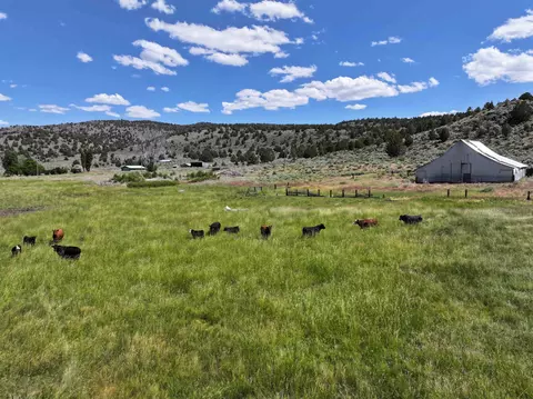 705 200 Highway 395, Termo, CA 96132