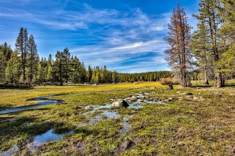 11224 Bennett Flat Rd, Truckee, CA 96161 photo 2