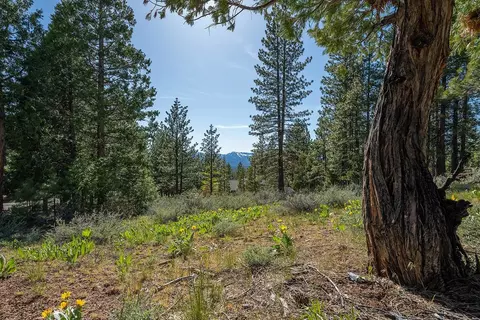 1512 Dream Maker, Clio, CA 96106 photo 9