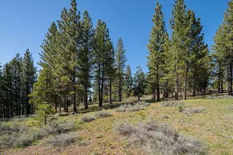 1512 Dream Maker, Clio, CA 96106 photo 3