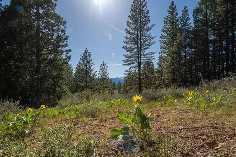 1512 Dream Maker, Clio, CA 96106 photo 8