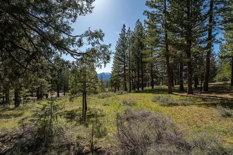 1512 Dream Maker, Clio, CA 96106 photo 2