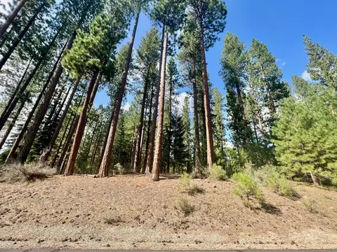 655 Bobcat Trl, Clio, CA 96106 photo 3
