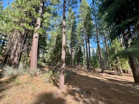 655 Bobcat Trl, Clio, CA 96106 photo 6