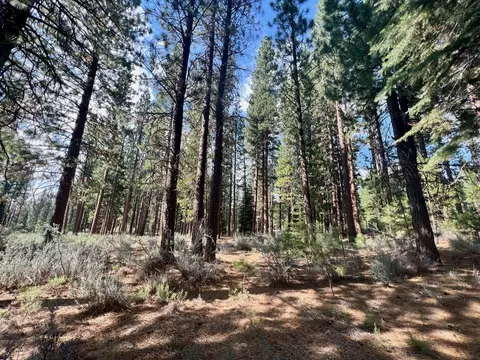 655 Bobcat Trl, Clio, CA 96106 photo 9