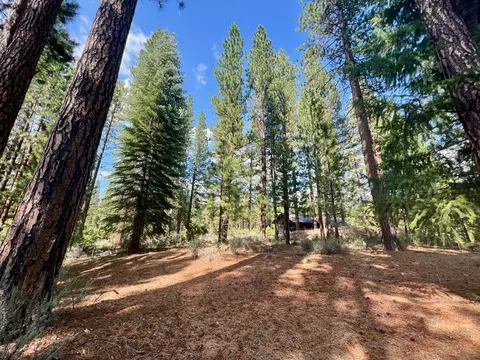 655 Bobcat Trl, Clio, CA 96106 photo 11