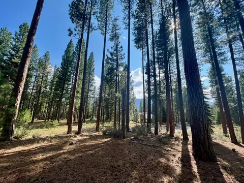 655 Bobcat Trl, Clio, CA 96106