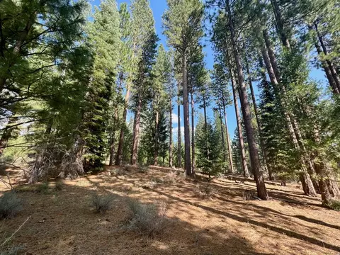 655 Bobcat Trl, Clio, CA 96106 photo 7