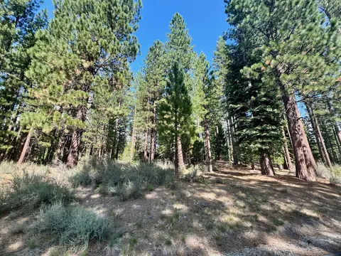 655 Bobcat Trl, Clio, CA 96106 photo 5