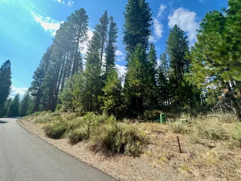 655 Bobcat Trl, Clio, CA 96106 photo 2