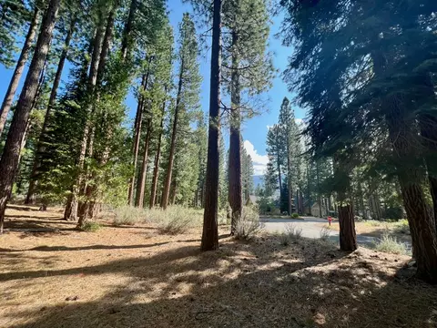 655 Bobcat Trl, Clio, CA 96106 photo 8