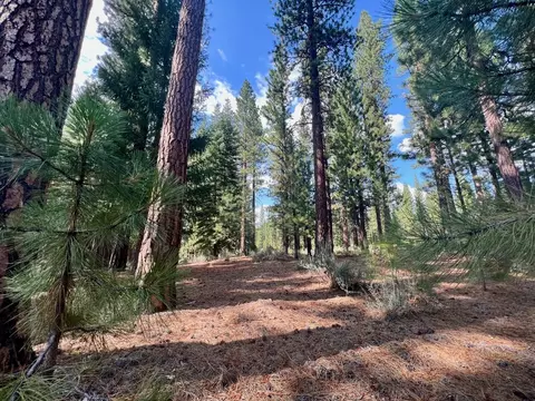655 Bobcat Trl, Clio, CA 96106 photo 13