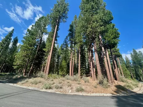 655 Bobcat Trl, Clio, CA 96106 photo 4