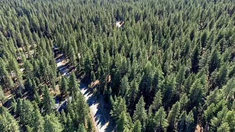 12062 Saddleback Dr, Truckee, CA 96161 photo 3