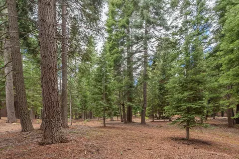 10986 Innsbruck Ave, Truckee, CA 96161