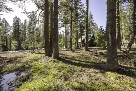 5770 Soda Springs Rd, Soda Springs, CA 95728