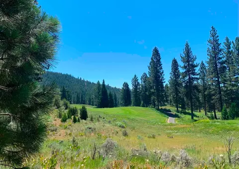 300 Grizzly Ranch Rd, Portola, CA 96122