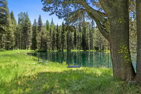 40600 Highway 49, Calpine, CA 96124 photo 28