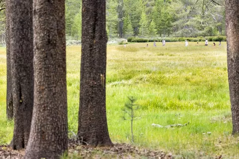 11298 Bennett Flat Rd, Truckee, CA 96161 photo 7
