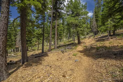 0000 Thomas Dr, Truckee, CA 96161 photo 22