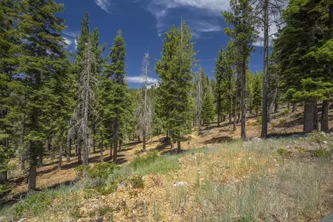 0000 Thomas Dr, Truckee, CA 96161 photo 10