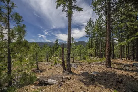 0000 Thomas Dr, Truckee, CA 96161 photo 18