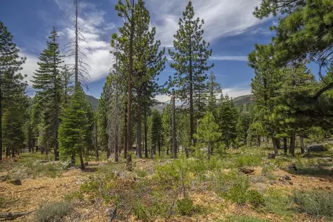 0000 Thomas Dr, Truckee, CA 96161 photo 21