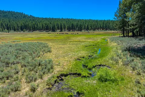 NNN Smithneck Road #+ APN 018-130-013-000, Loyalton, CA 96118 photo 1