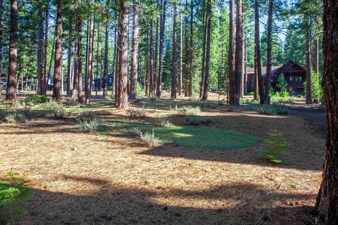 11561 Bottcher Loop, Truckee, CA 96161 photo 15