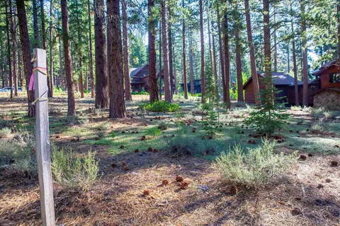 11561 Bottcher Loop, Truckee, CA 96161 photo 19
