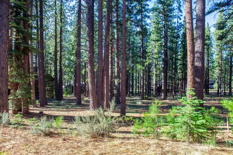 11561 Bottcher Loop, Truckee, CA 96161 photo 21