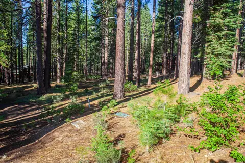 11561 Bottcher Loop, Truckee, CA 96161 photo 5