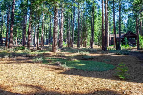 11561 Bottcher Loop, Truckee, CA 96161 photo 13