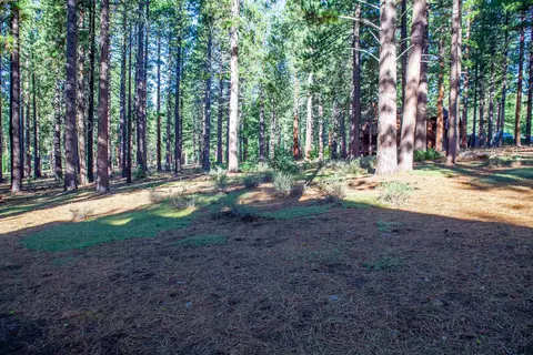 11561 Bottcher Loop, Truckee, CA 96161 photo 12