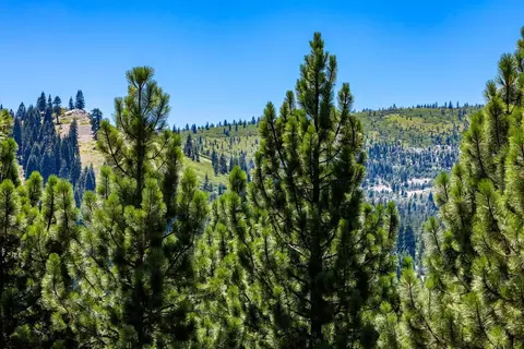 12379 Stockholm Way, Truckee, CA 96161