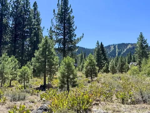 740 John Mckinney, Truckee, CA 96161