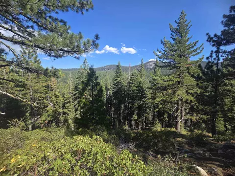 7000 Cold Stream Rd, Donner Lake, CA 96161 photo 4