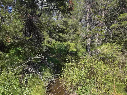 7000 Cold Stream Rd, Donner Lake, CA 96161 photo 18