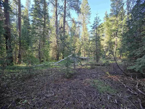 7000 Cold Stream Rd, Donner Lake, CA 96161 photo 14