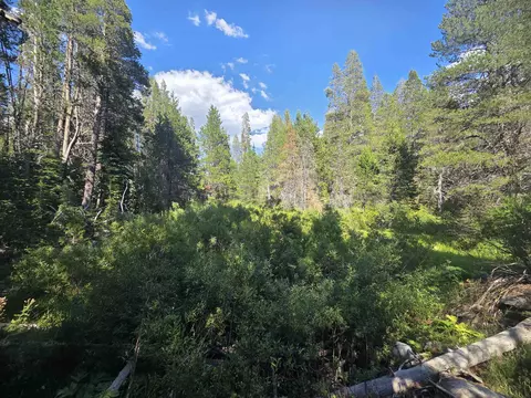 7000 Cold Stream Rd, Donner Lake, CA 96161 photo 19