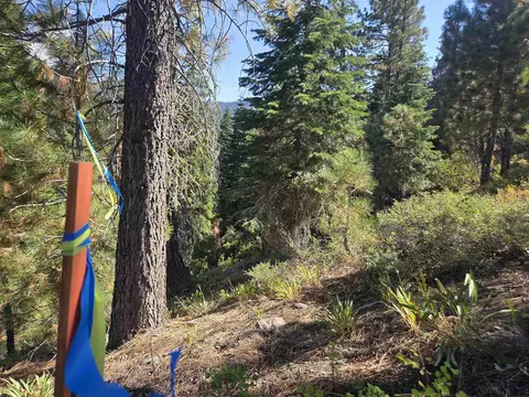 7000 Cold Stream Rd, Donner Lake, CA 96161 photo 12