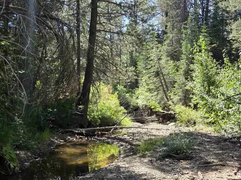 7000 Cold Stream Rd, Donner Lake, CA 96161 photo 21